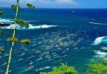 Dentist’s Hawaii odyssey in honour of friend