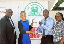Wind of Hope walk benefits NCVO