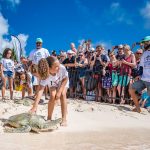 Turtle centre drafts species protection plan
