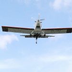 Concerns rise over island-wide mosquito ‘infestation’