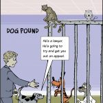 Dog pound