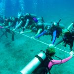 Cayman’s female divers line up to break their own world record