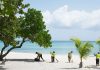 NiCE workers clear sargassum from beaches