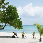 NiCE workers clear sargassum from beaches