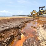 Record sargassum bloom may be new norm