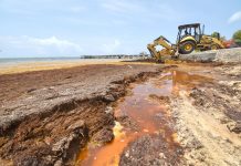 Record sargassum bloom may be new norm