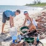 Clean-up crew plucks 540 pounds of trash off beach