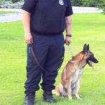 Sniffer dogs have a nose for trouble