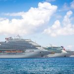 Web ticker follows verification progress for cruise petition