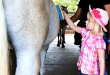 Stable puts summer campers in the saddle