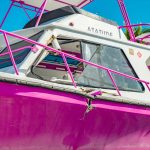 Cathy Church charged over boat collision