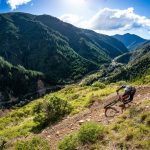 Dart hands over land to New Zealand government