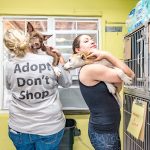 Humane Society is too full to accept new animals