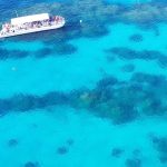Letter: CPR Cayman outlines its key concerns on cruise dock, part 2 of 3