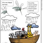 Missed the boat