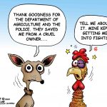 Animal cruelty