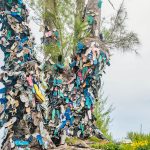 Shoe Tree drives plastic debate