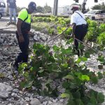 Police, NRA clean up waterfront in George Town