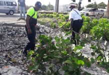 Police, NRA clean up waterfront in George Town