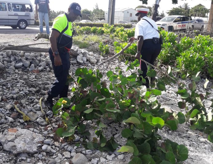 Waterfront-cleanup