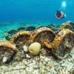Underwater ‘train wreck’ could be relic of phosphate mining