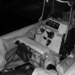 $1 million worth of ganja seized