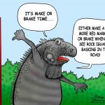 Rock iguana