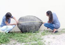 $12,000 reward offered for information on turtle poachers