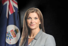 Ahearn announced as chief sustainability officer after departure from climate ministry
