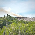 Landfill reopens after fire