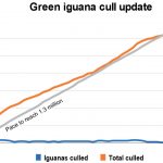 Weekly numbers dip, but cullers surpass 900,000 iguanas