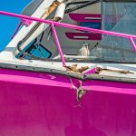 Charges withdrawn on Kittiwake crash case