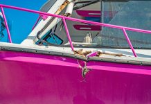 Charges withdrawn on Kittiwake crash case