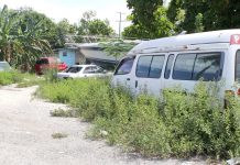 DEH director calls for fines for litterbugs