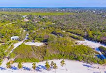 Trust defends chairman amid concern over Beach Bay ‘conflict’