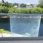 Iguana cull warning as stray shot hits home