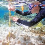 ‘Citizen scientists’ invited to survey Little Cayman coral