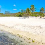 Turtle impact concerns persist with Beach Bay resort