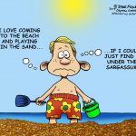 Sargassum returns