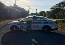 Police issue warning after spike in collisions