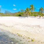 Beach Bay resort expected to reduce turtle habitat
