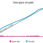 Iguana cull nears 900,000 specimens