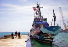 Sea Shepherd boat crew gets ready to help in Bahamas