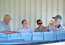 Governor gets a catboat lesson