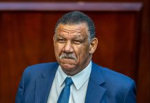 McLean calls on premier to remove Bush