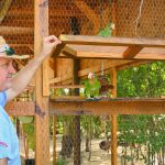 First birds released from new parrot sanctuary