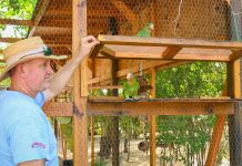 First birds released from new parrot sanctuary