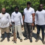 1 million green iguanas culled