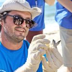 DoE: 2019 set to be a record turtle-nesting season