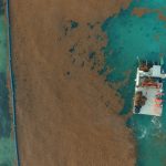 To protect tourist economy, resorts invest in seaweed-control business